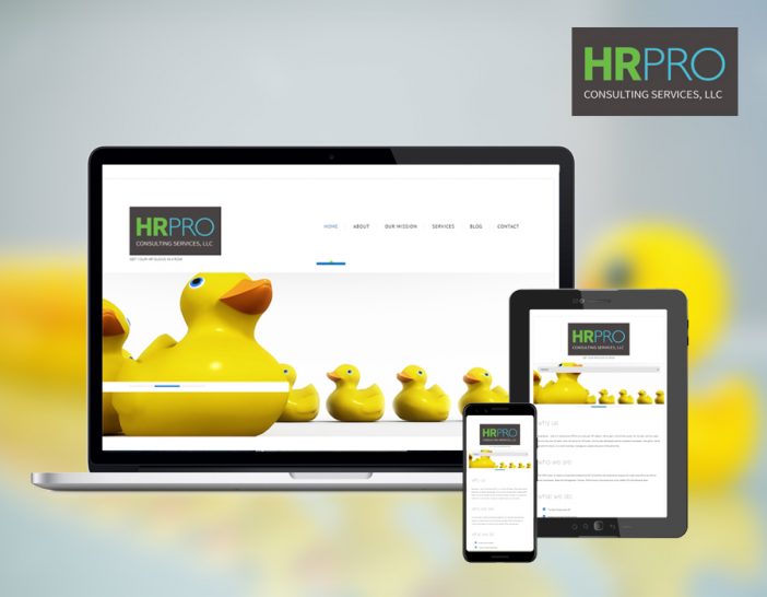 HRPRO Consulting Services