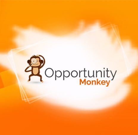 Opportunity Monkey