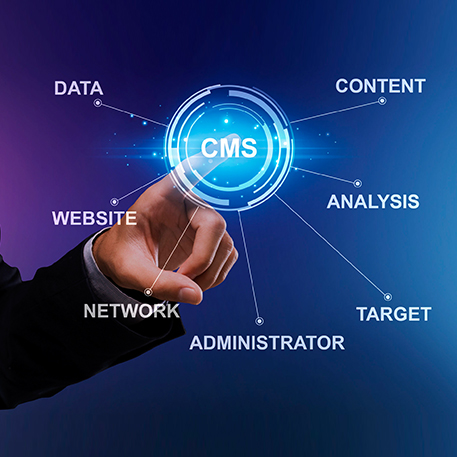 cms website development company